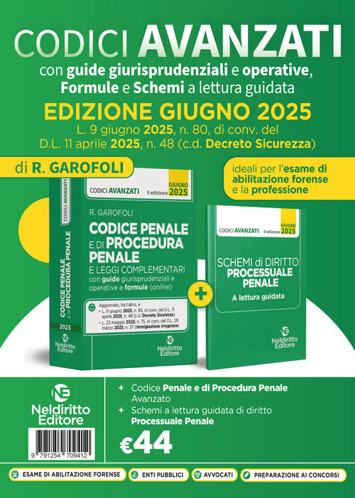 Codice penale ragionato 2025 aggiornato al DL sicurezza convertito in legge Giugno 2025
