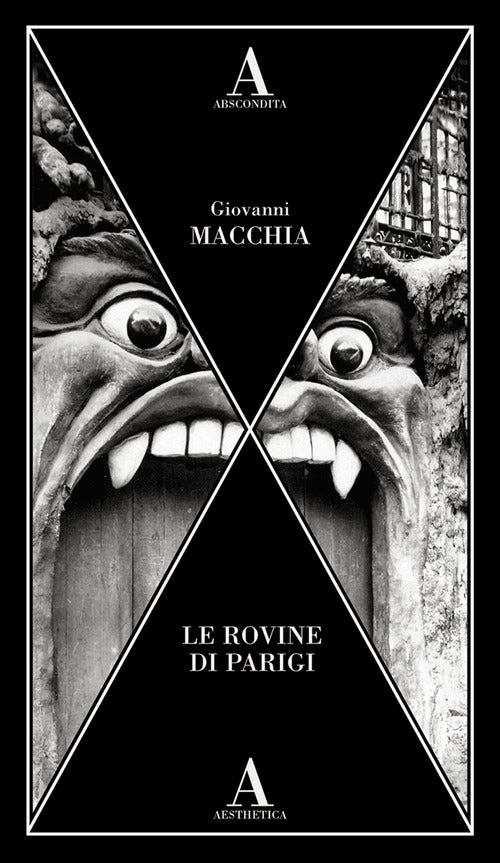 Cover of rovine di Parigi