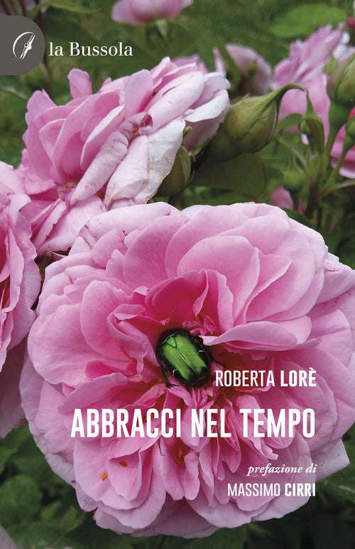 Cover of Abbracci nel tempo