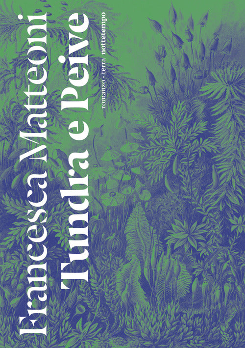 Cover of Tundra e Peive