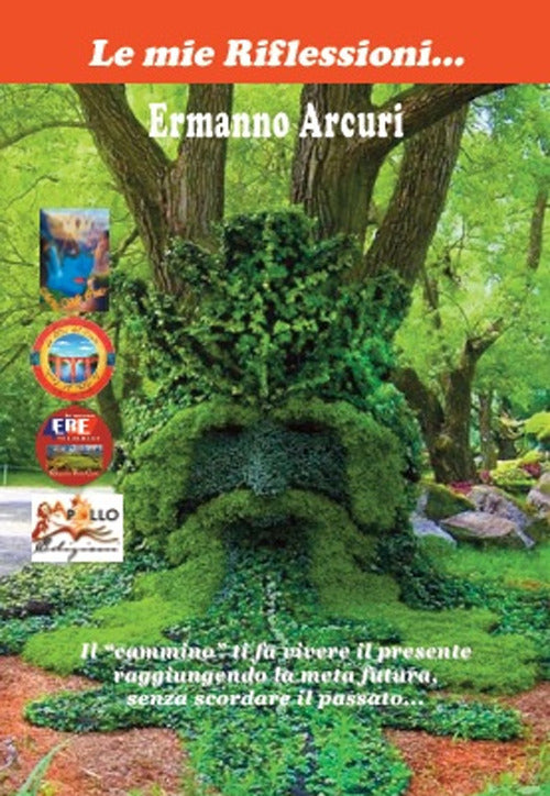Cover of mie riflessioni... Il «cammino» ti fa vivere il presente raggiungendo la meta futura, senza scordare il passato