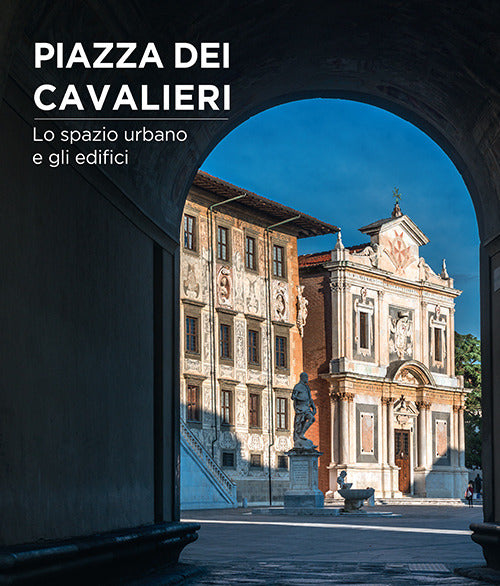 Cover of Piazza dei Cavalieri. Lo spazio urbano e gli edifici