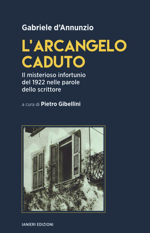 Cover of arcangelo caduto. Il misterioso infortunio del 1922 nelle parole dello scrittore