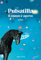 Cover of campo è aperto