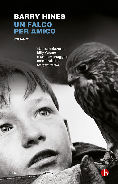 Cover of falco per amico