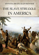 Cover of slave struggle in America