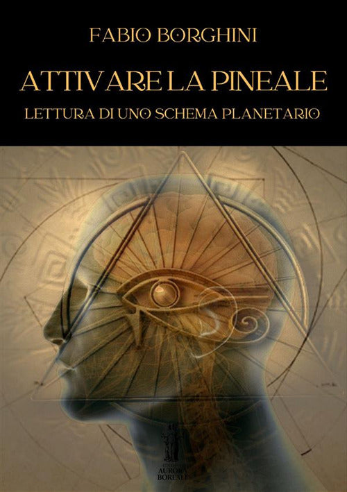 Cover of Attivare la pineale. Lettura di uno schema planetario