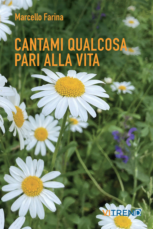 Cover of Cantami qualcosa pari alla vita