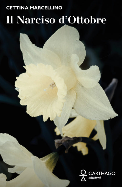 Cover of narciso d'ottobre