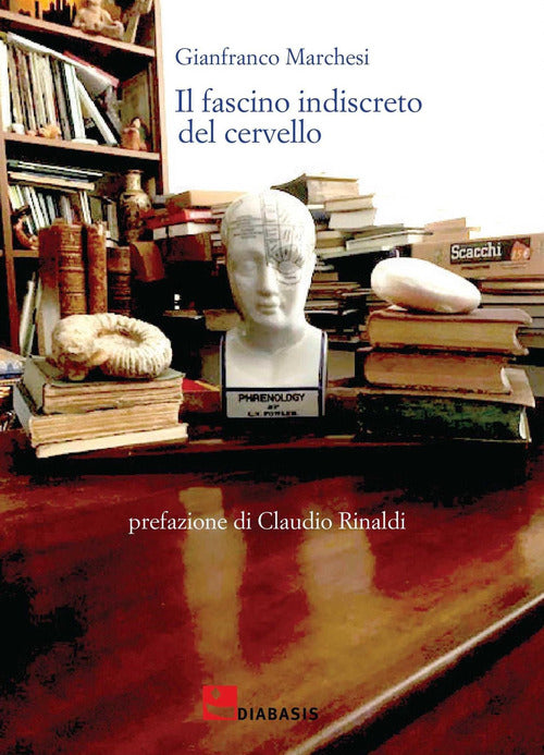 Cover of fascino indiscreto del cervello