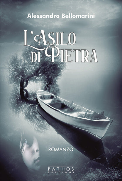 Cover of asilo di pietra