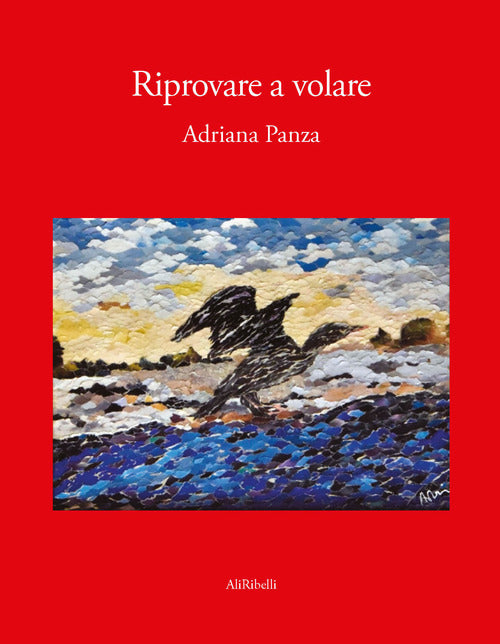 Cover of Riprovare a volare