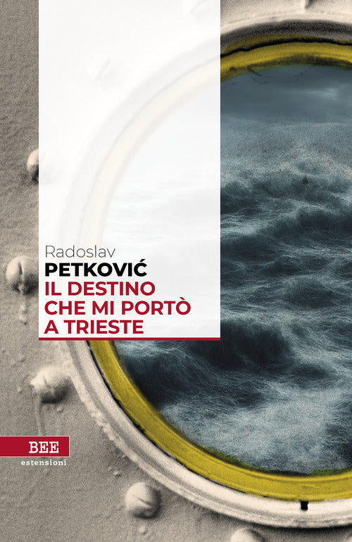Cover of destino che mi portò a Trieste
