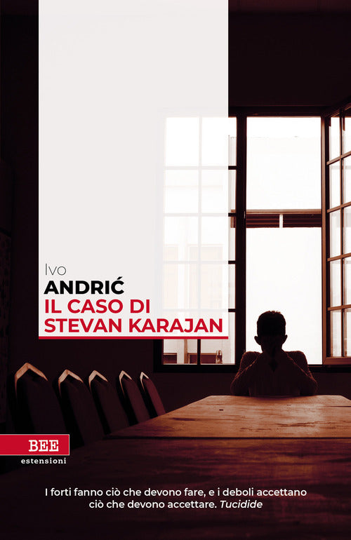 Cover of caso di Stevan Karajan