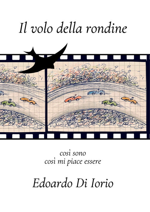 Il volo della rondine. Cos sono, cos mi piace