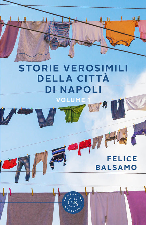 Cover of Storie verosimili della città di Napoli