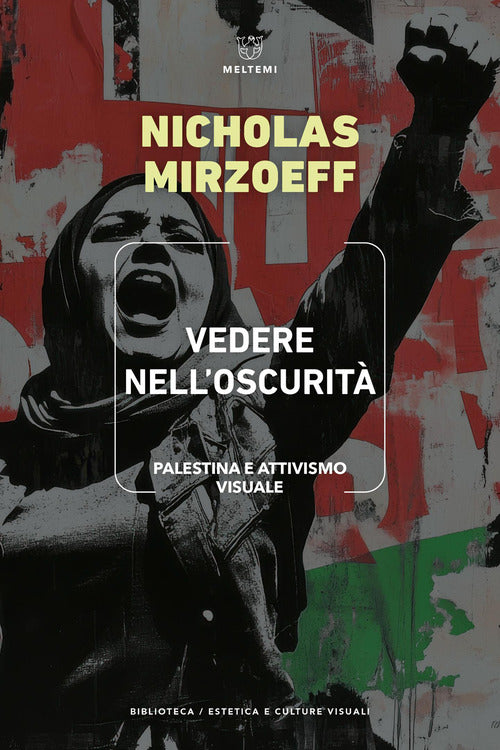 Vedere nell'oscurit. Palestina e attivismo visuale