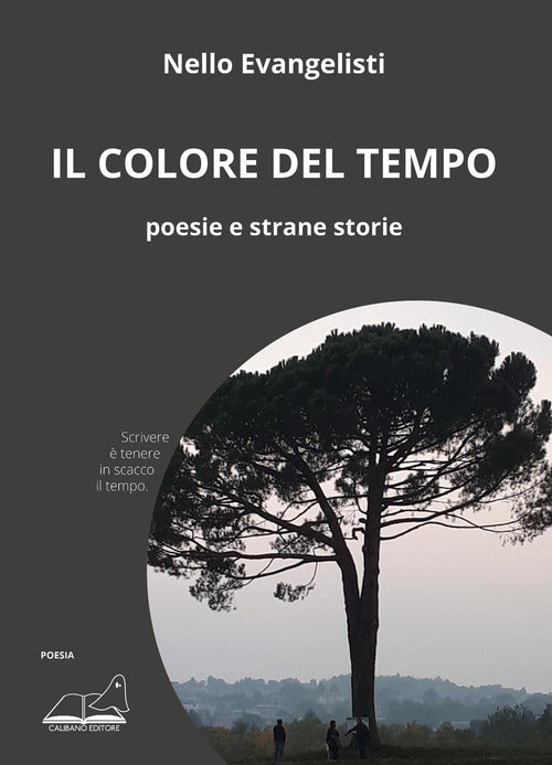 Il colore del tempo. Poesie e strane storie