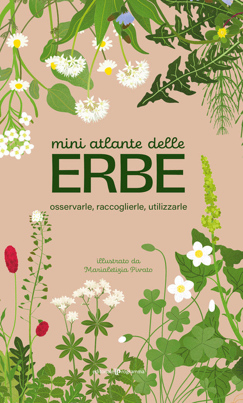 Mini atlante delle erbe. Osservarle, raccoglierle, utilizzarle