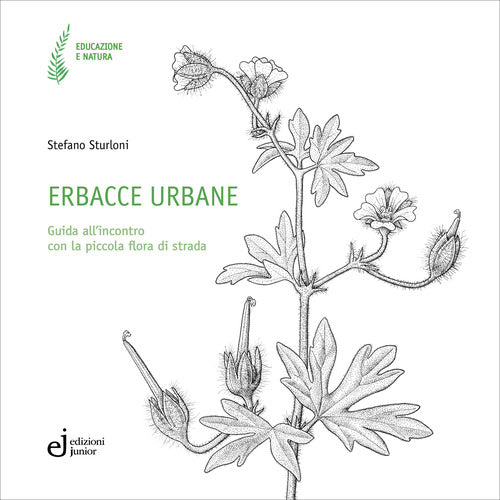 Erbacce urbane. Guida all'incontro con la piccola flora di strada
