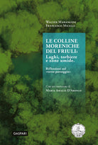 Le colline moreniche del Friuli. Laghi, torbiere e zone umide. Riflessioni sul terzo paesaggio