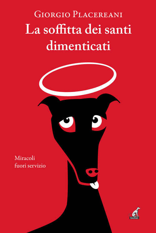 La soffitta dei santi dimenticati