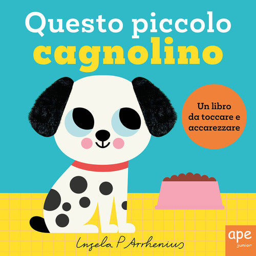 Questo piccolo cagnolino