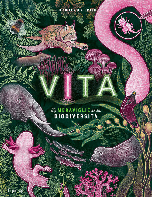 Vita. Le meraviglie della biodiversit. Album scoperte