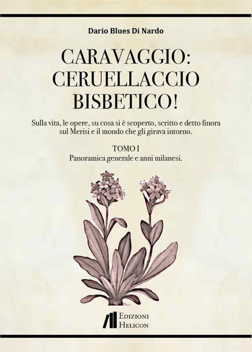 Caravaggio: Ceruellaccio bisbetico!. Vol. 1: Sulla vita, le opere, su cosa si è scoperto, scritto e detto finora sul Merisi e il mondo che gli girava intorno. Panoramica generale e anni milanesi