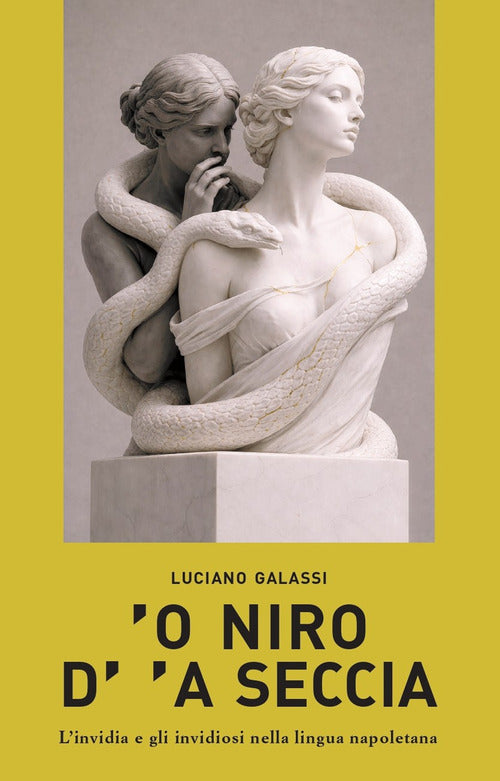 ’O niro d’'a seccia. L’invidia e gli invidiosi nella lingua napoletana