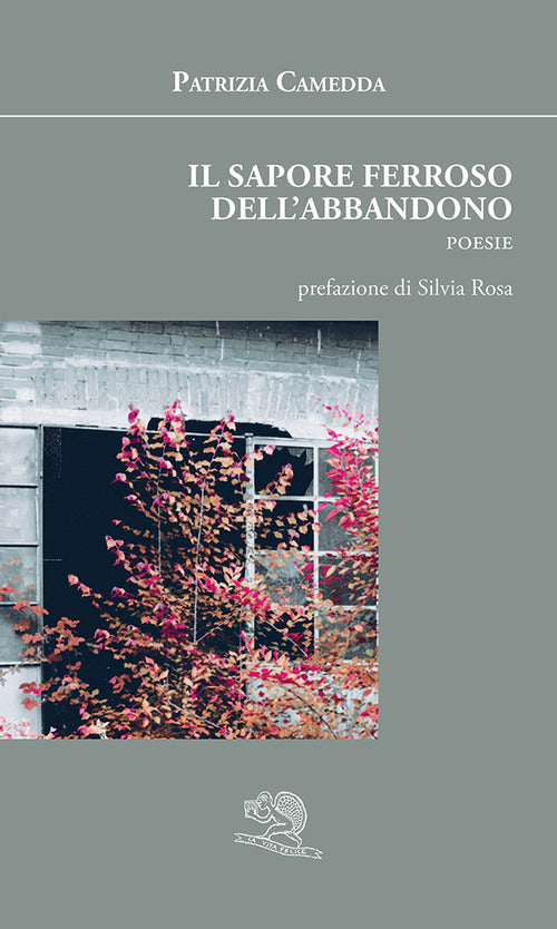 Il sapore ferroso dell'abbandono