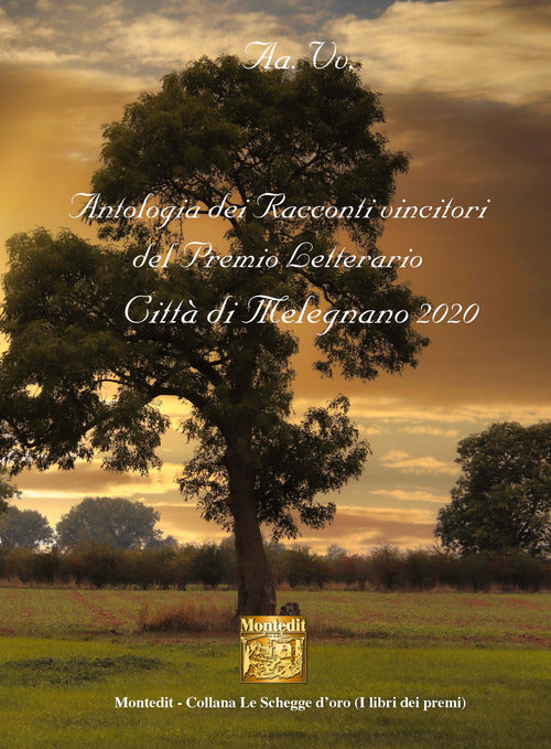 Cover of Antologia dei racconti vincitori del Premio Letterario Città di Melegnano 2020