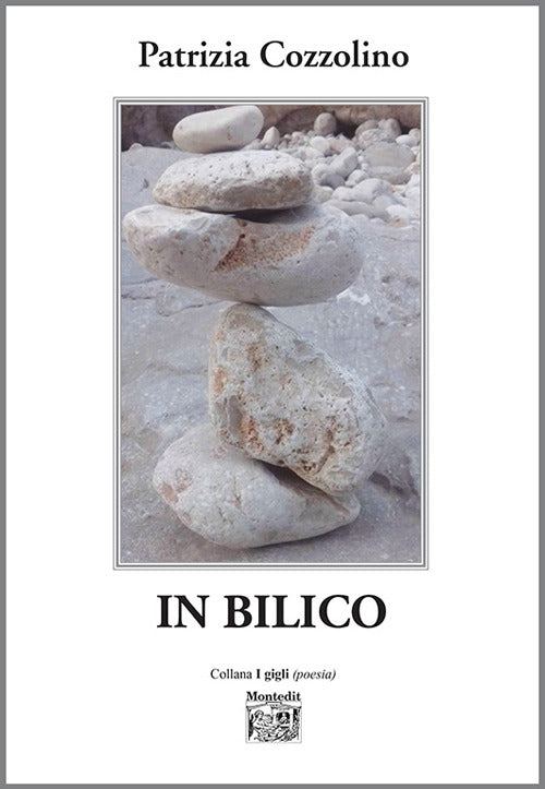 Cover of In bilico