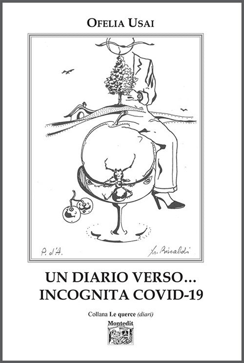 Cover of diario verso… incognita Covid-19