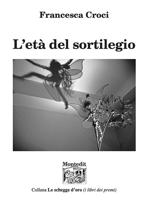 Cover of età del sortilegio