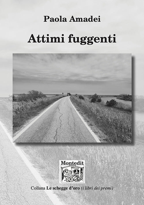 Cover of Attimi fuggenti