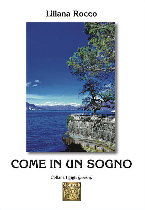 Cover of Come in un sogno