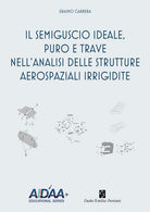 Cover of semiguscio ideale, puro e trave nell'analisi delle strutture aerospaziali irrigidite