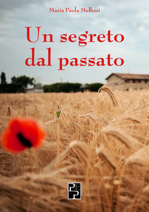 Cover of segreto dal passato