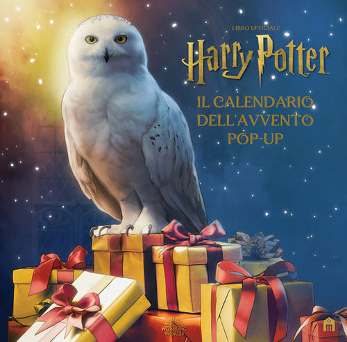 Cover of Harry Potter. Il calendario dell'Avvento pop-up