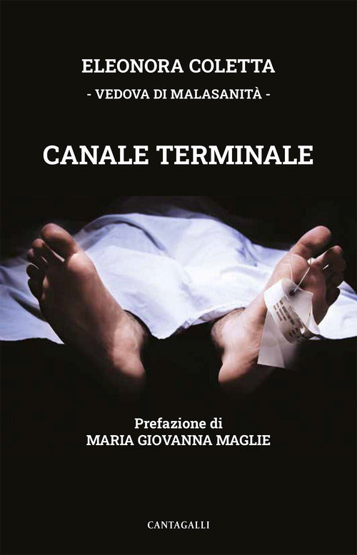 Cover of Canale terminale