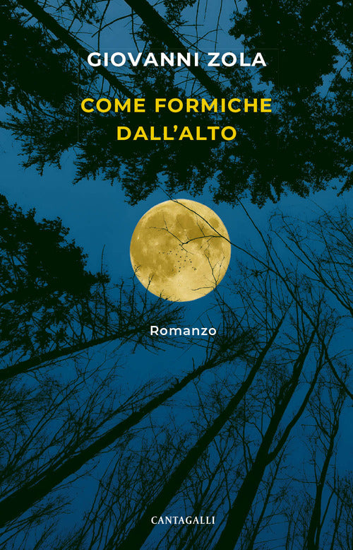 Come formiche dall'alto