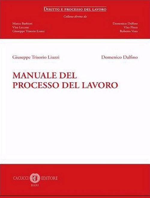 Cover of Manuale del processo del lavoro