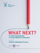 What Next? Le citt metropolitane a 10 anni dalla loro istituzione