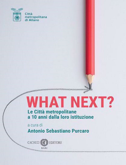 What Next? Le citt metropolitane a 10 anni dalla loro istituzione
