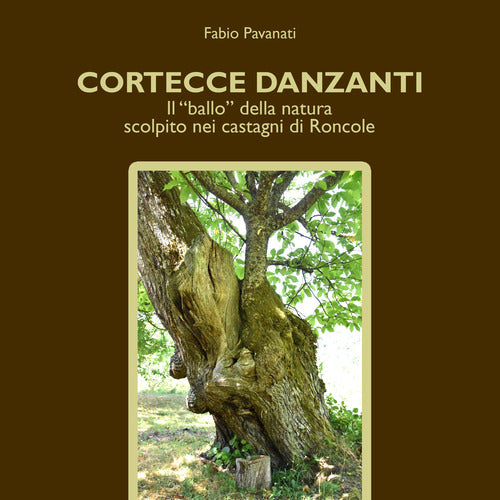 Cover of Cortecce danzanti. Il "ballo" della natura scolpito nei castagni di Roncole