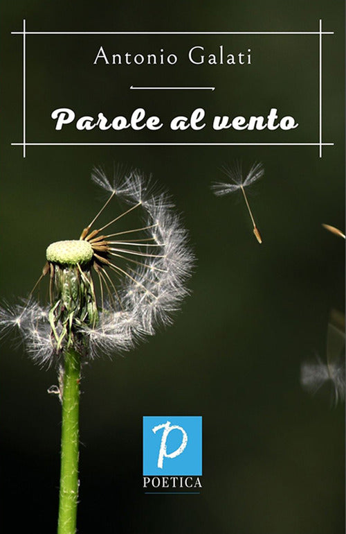 Cover of Parole al vento