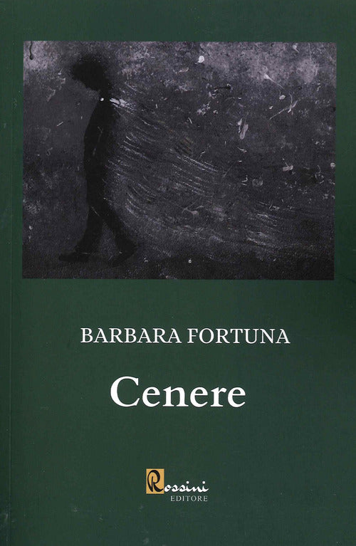 Cover of Cenere