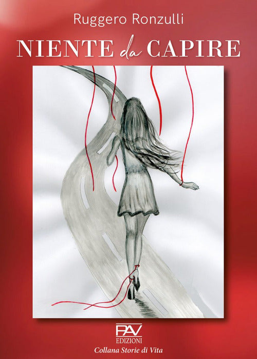 Cover of Niente da capire