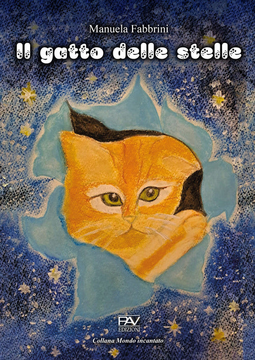 Cover of gatto delle stelle